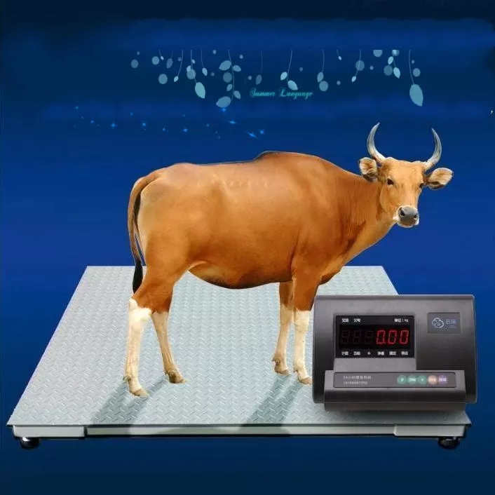 WSA101 Equine Scales To Weigh Your Horse Livestock Scales