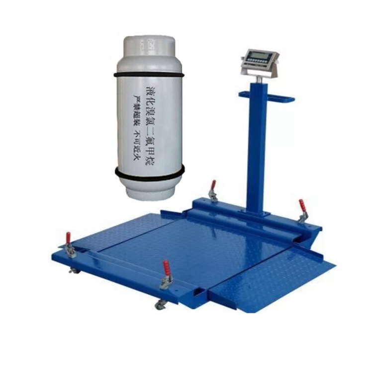 WSF101 Portable Floor Drum Scales & Industrial Weighing Systems