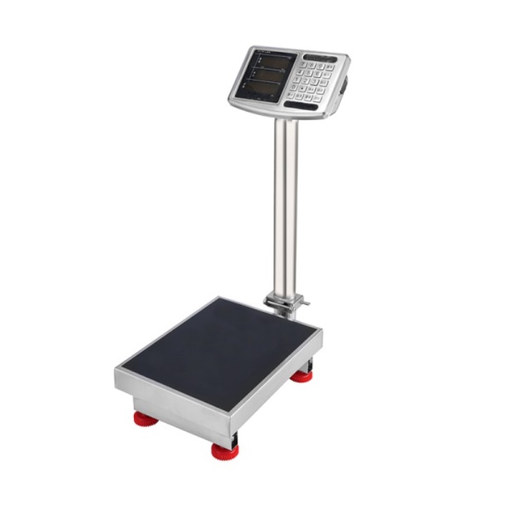 WS0105 Industrial Weighing Portable Scale China Bench Scale